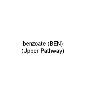 benzoate (BEN)                             (Upper Pathway)